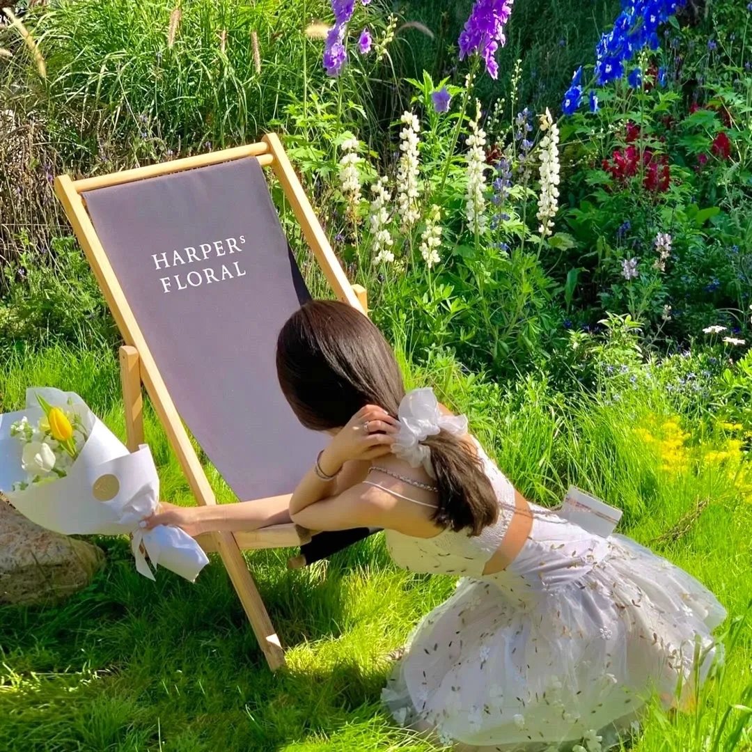 史酷比：神秘的开始